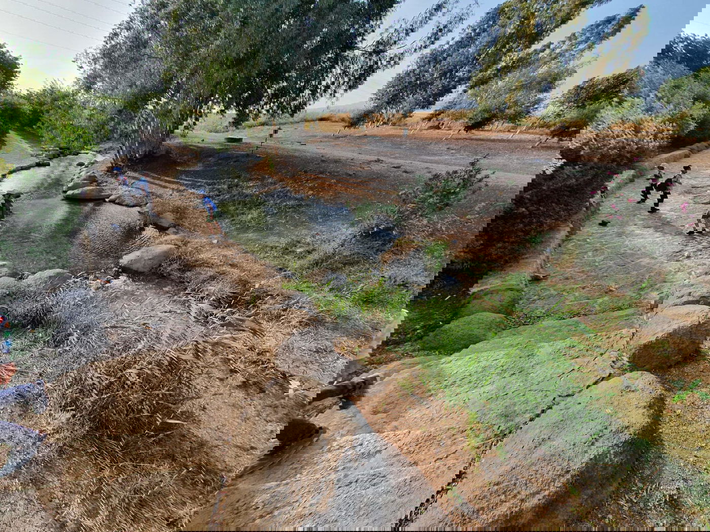 מעין גדעון [מתוך ספר 'המקומות הנדירים הקדושים והרטובים בארץ ישראל]