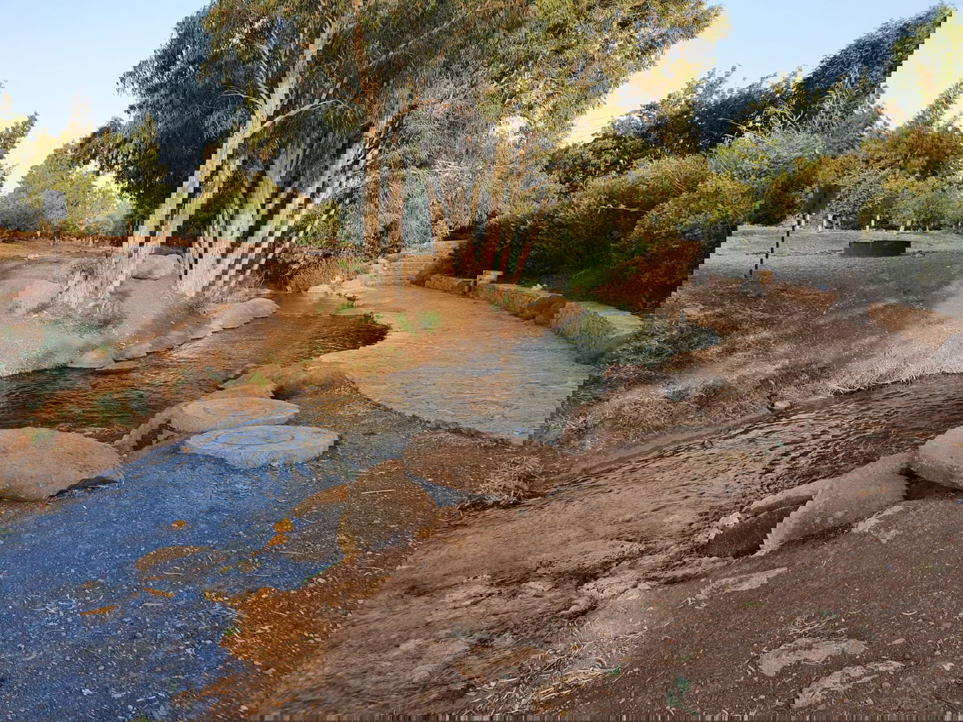 מעין גדעון [מתוך ספר 'המקומות הנדירים הקדושים והרטובים בארץ ישראל]