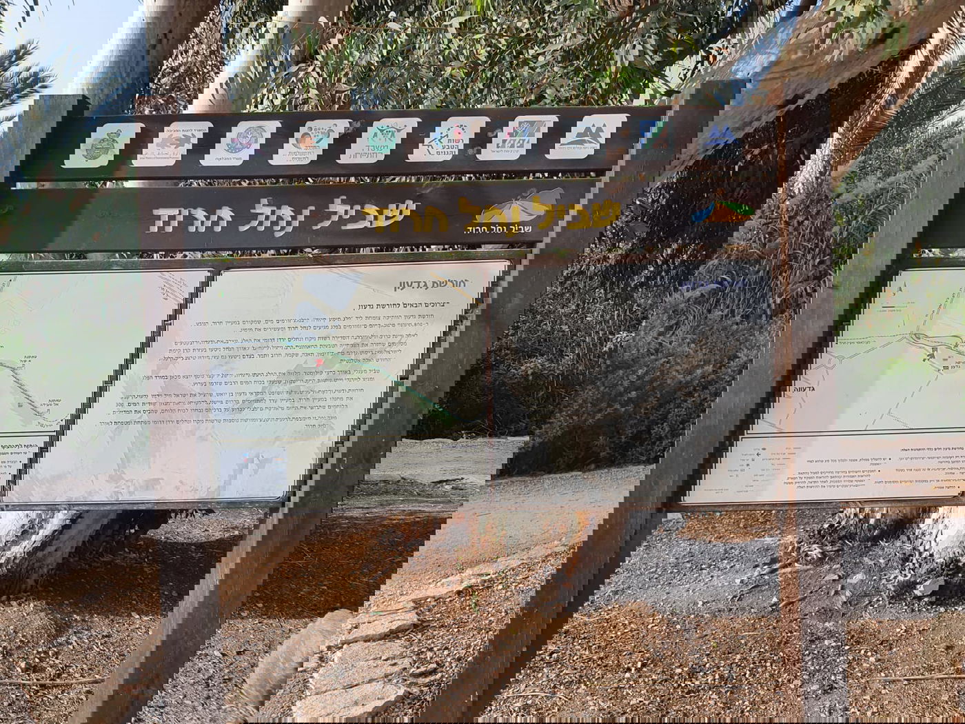 מעין גדעון [מתוך ספר 'המקומות הנדירים הקדושים והרטובים בארץ ישראל]