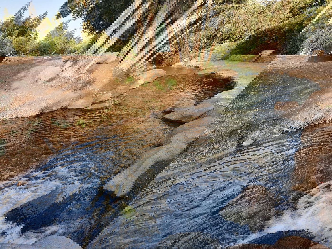 מעין גדעון [מתוך ספר 'המקומות הנדירים הקדושים והרטובים בארץ ישראל]