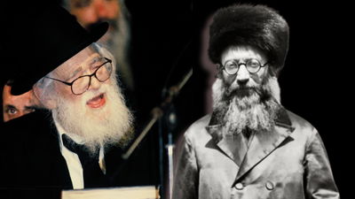 הראי"ה קוק והרב שך