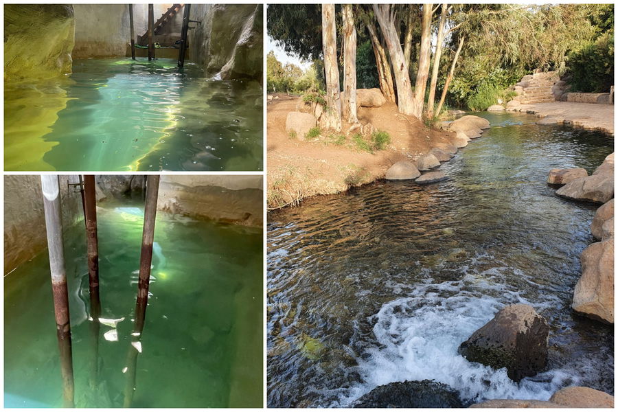 מימין - מעין גדעון | משמאל - בור אדוריים