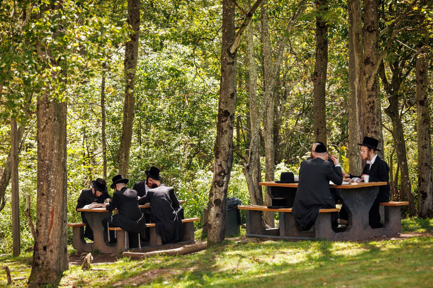 ר"ח אלול בצל האדמו"ר מבאבוב 45