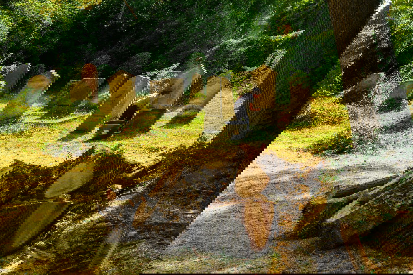 מפתיע: מה חיפשו צעירים יהודים בחופשת הקיץ בבתי העלמין?