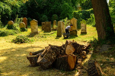 מפתיע: מה חיפשו צעירים יהודים בחופשת הקיץ בבתי העלמין?