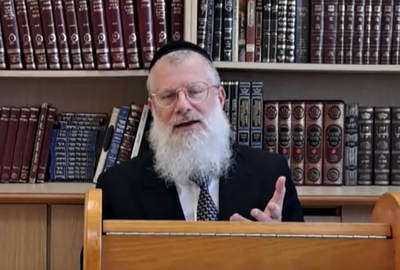 פרשת השבוע מלמדת אותנו: האם הנמלה היא גנבת או גזלנית?