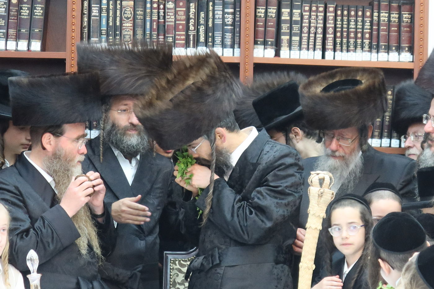 הילולת בעל 'המשנת שלמה' מזוועהיל זצ"ל 