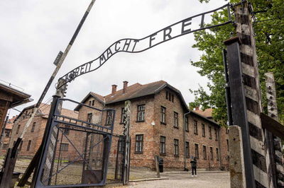 תחקיר: רשת הונאת תמונות השואה שמטלטלת את הרשת