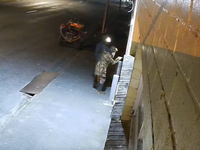 הסיפור שמסעיר את ניו זילנד: החוטף נצפה פורץ לחנות עם אחד מילדיו