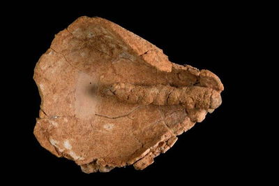 נר ובו פתילת בד 