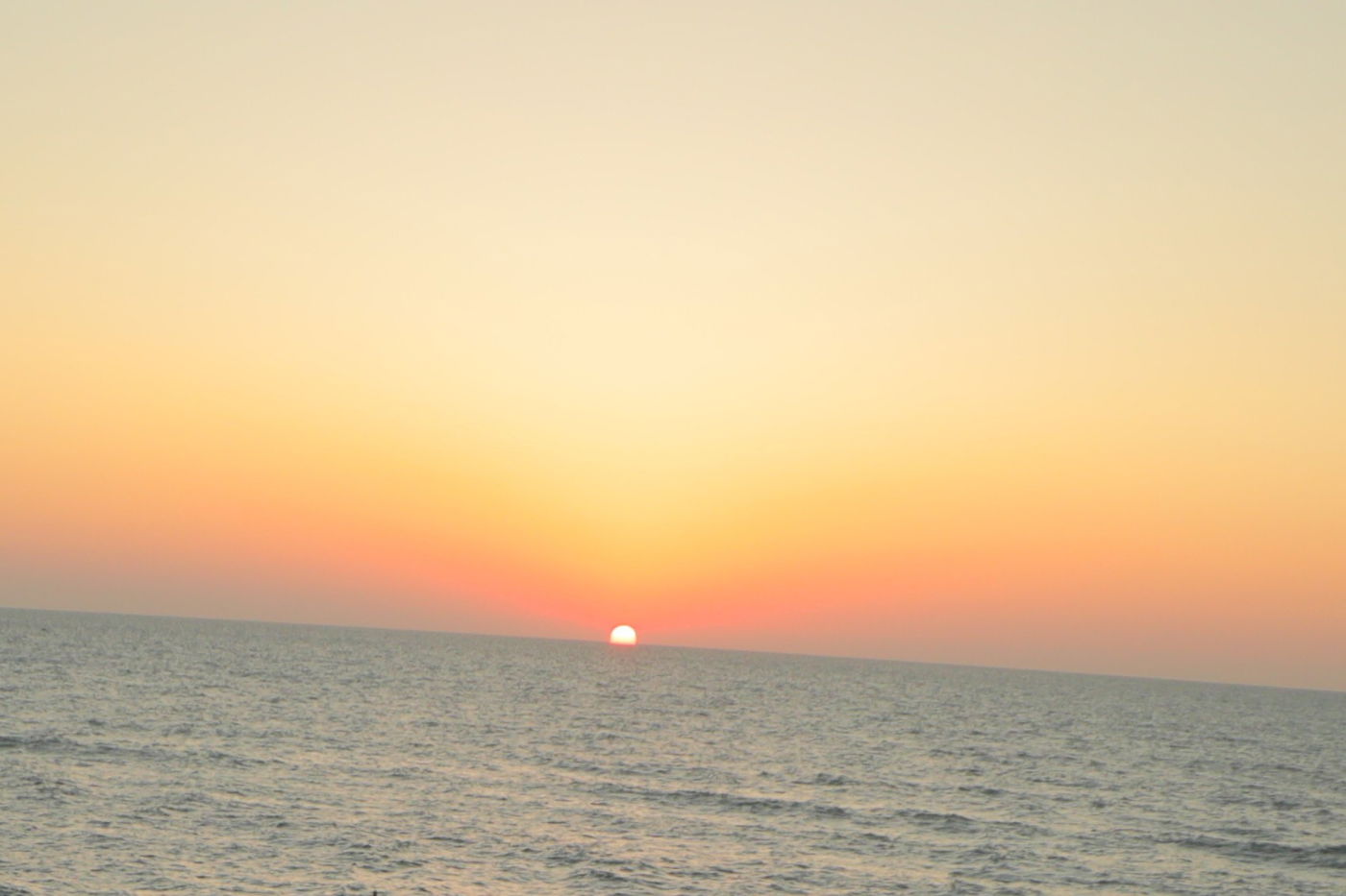 נראה אתכם מרגישים את זה | התחזית: "הקלת מה בעומסי החום"