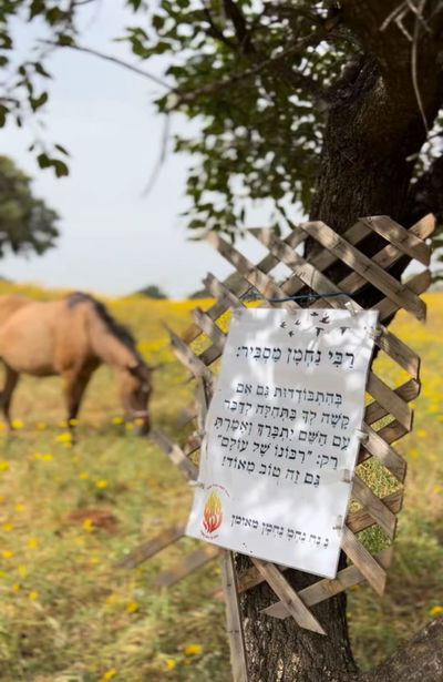 "רבונו של עולם, גם זה טוב מאד"