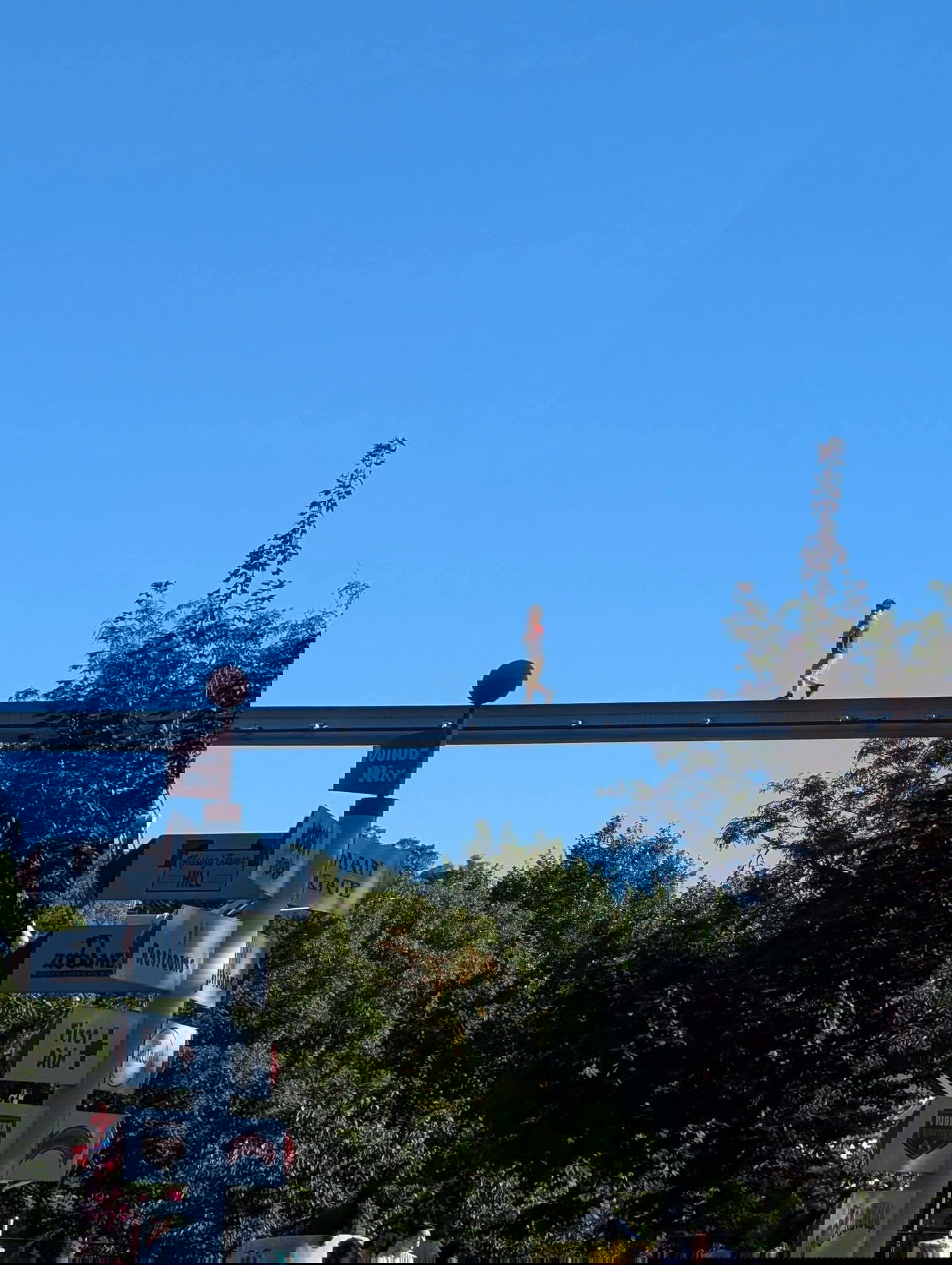 הילד הקטן נעלם בפארק השעשועים - ואז הוא אותר על מסילת רכבת הרים