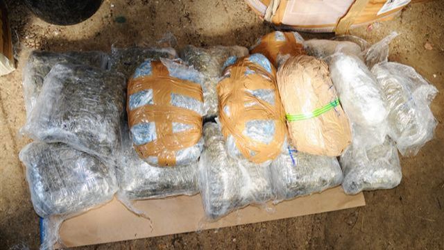 הקוקאין שנתפס