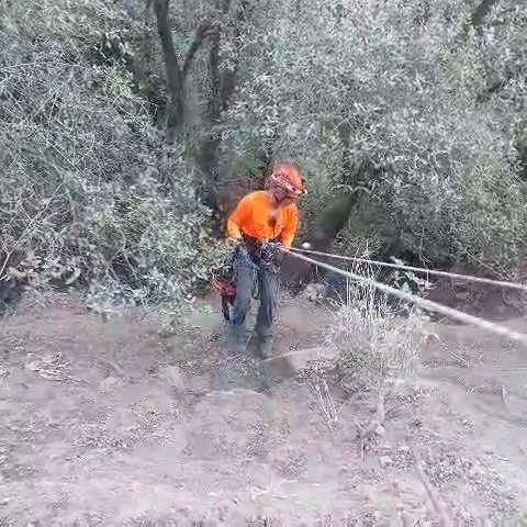 רגעי החילוץ באמצעות חבלים