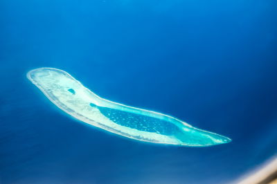 מבט-על על אחד מאיי פאראסל