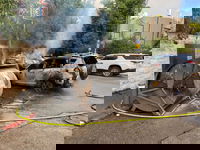 הרכב שניזוק מההצתה