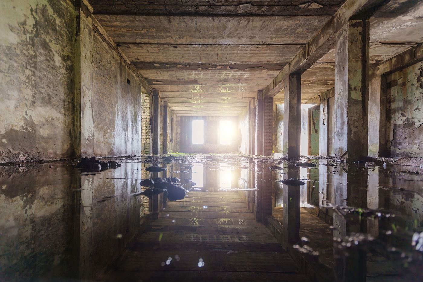 נראה רע אבל שווה כסף. הרבה כסף