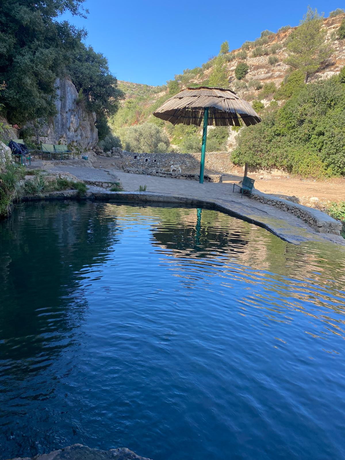 עין אל הָוּוִיָה