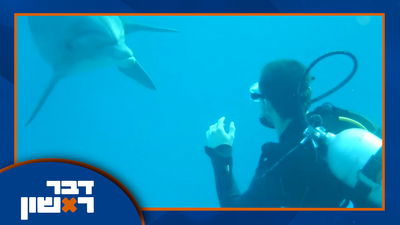 מה באמת קורה בעזה ובתימן? ותיעוד מהדגים שרועדים בחודש אלול | צפו