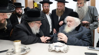 האדמו"ר מבוהוש בביקור אצל הגר"מ שטרנבוך