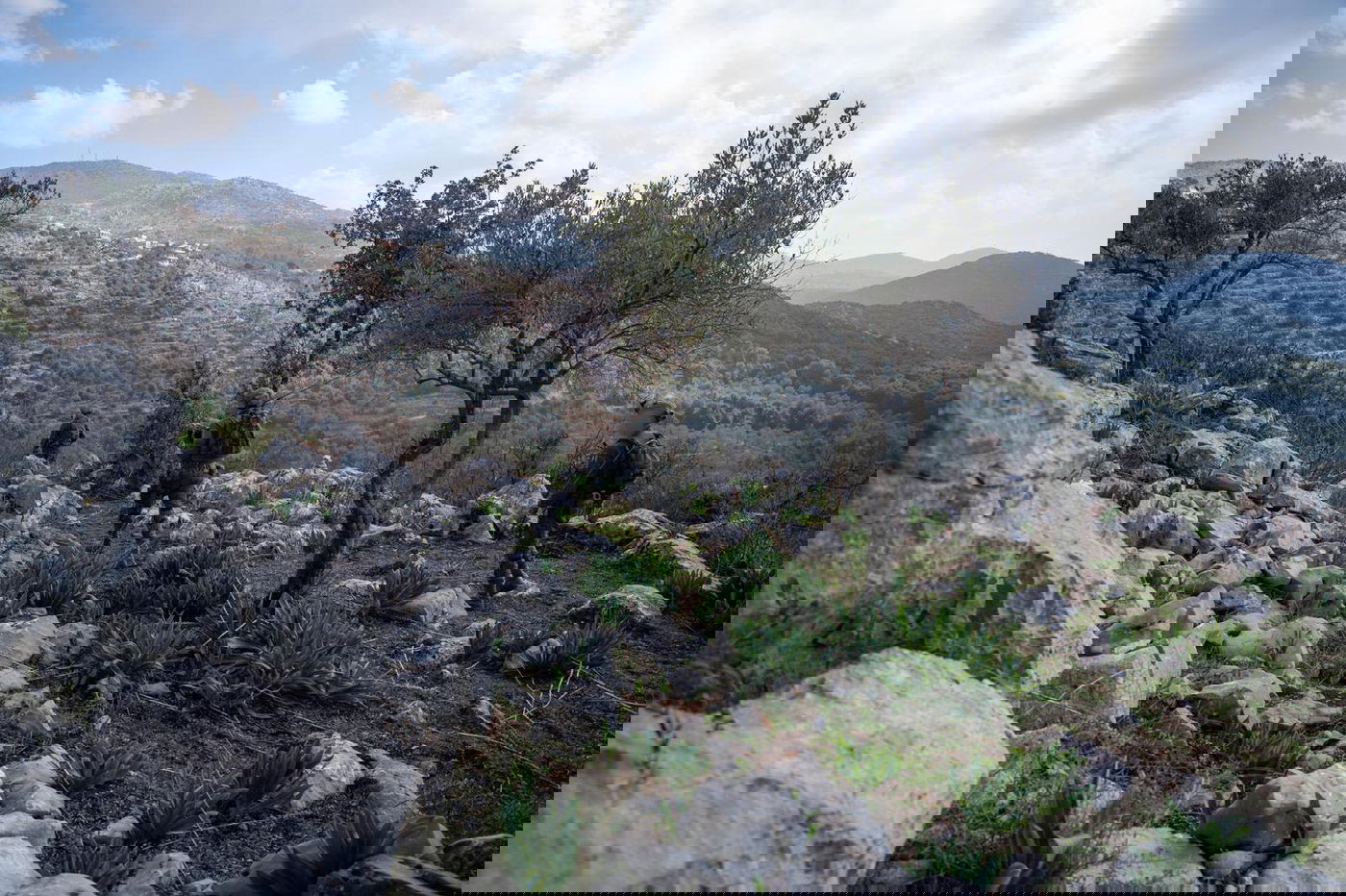 חטיבת ההרים בסוריה ובלבנון