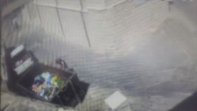 אכזריות בלתי נתפסת: כך הרג ההונגרי את גור החתול ש"הפריע לו ללמוד" | תיעוד