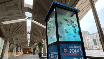 יצירת הרחוב שמועברת למוזיאון