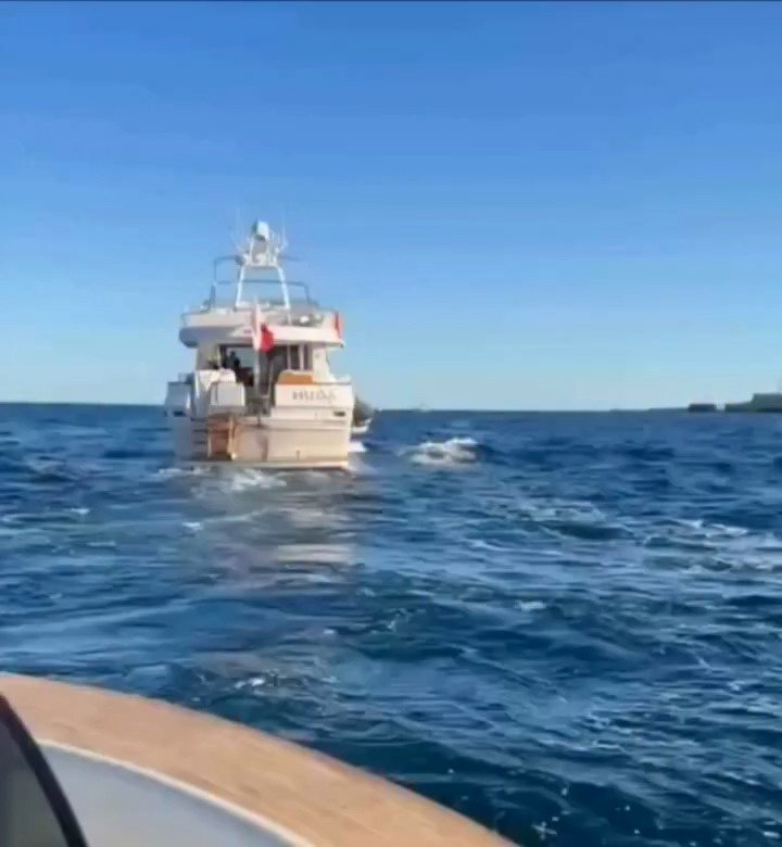 כל היחידות מוכנות? - אוהד ישראל מטריל את המשט של גרטה