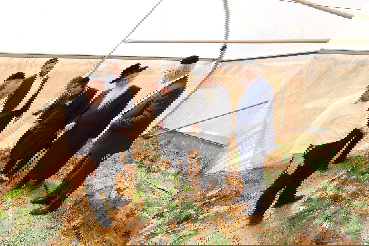 רבה של אנטוורפן הגר"פ פדווא בביקור במפעלים שבכשרות בד"ץ חוג חת"ס פ"ת