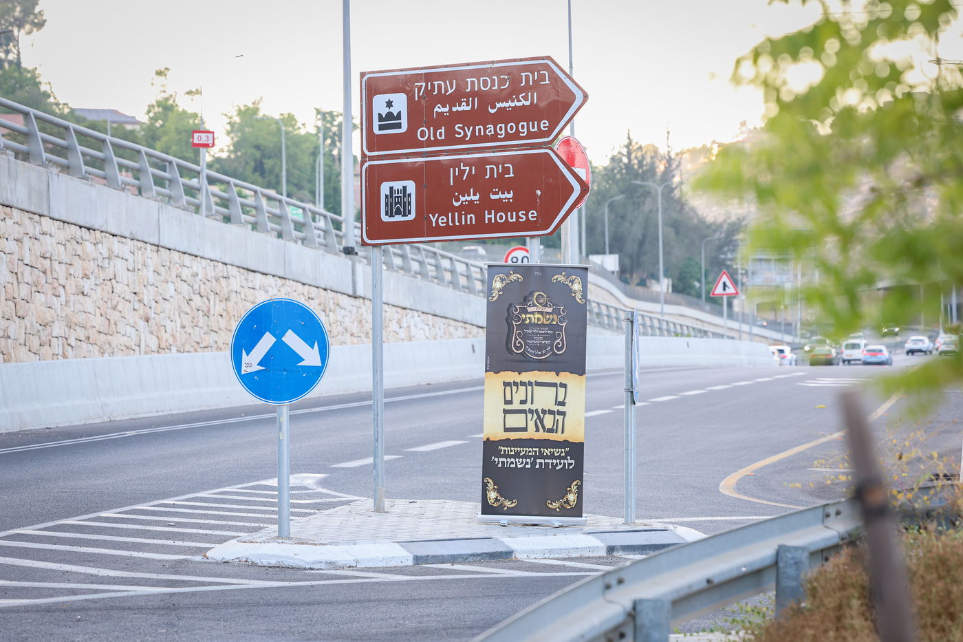 ועידת "נשמתי" בשבט הלוי