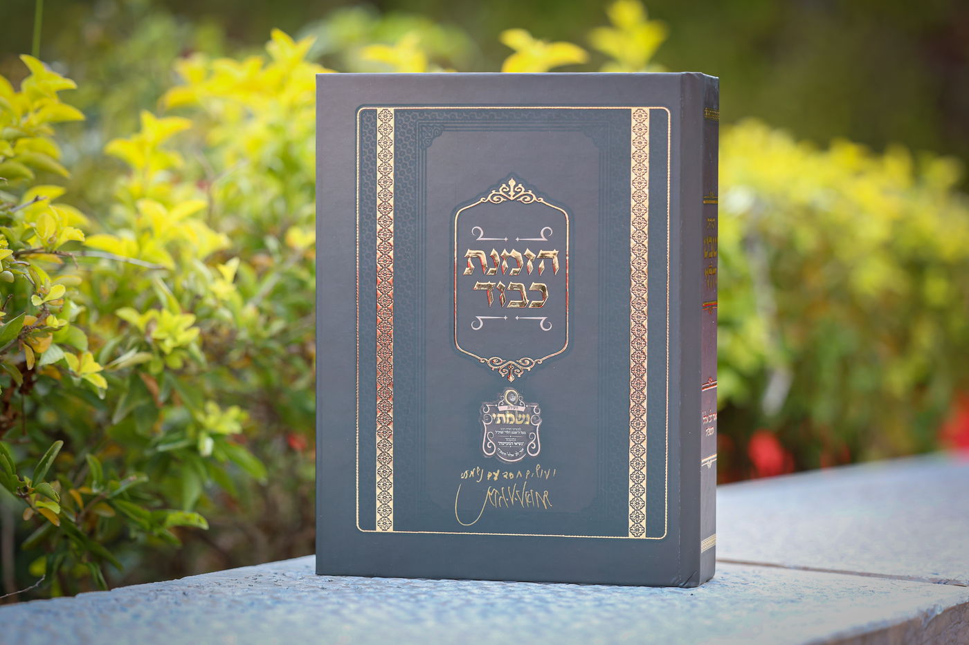 ועידת "נשמתי" בשבט הלוי