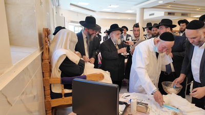 ברית לניני הגאון רבי יעקב הלל ולהגאון רבי יהושע ברכץ