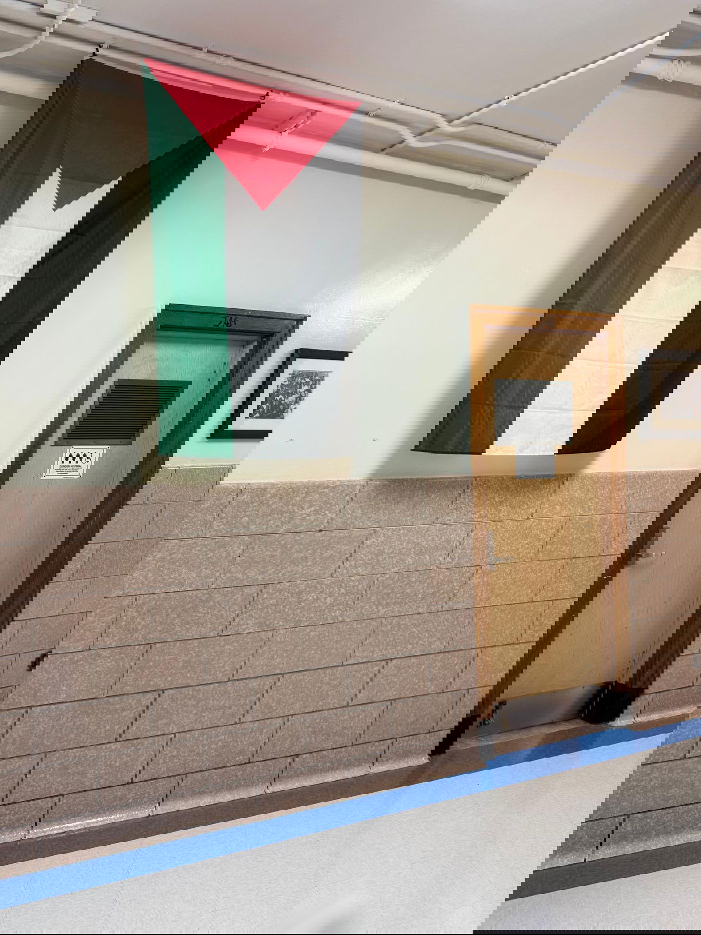 ברוקלין: דגל פלסטין נתלה במסדרון בית ספר - המורים היהודים זועמים