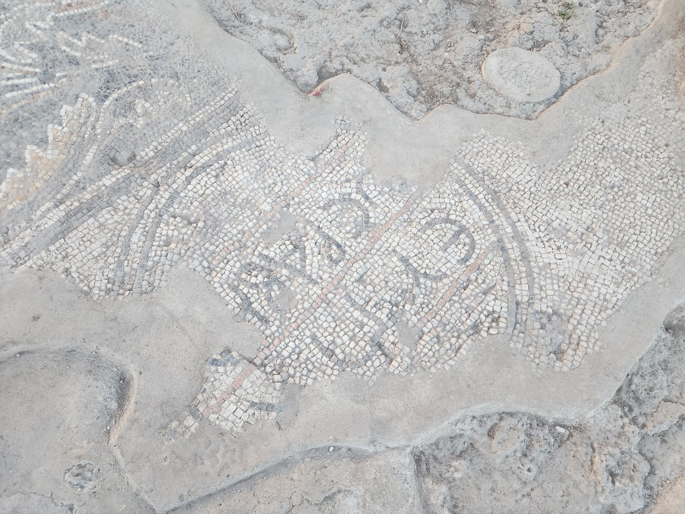 המקווה הנדיר בכפר קאסם | אחוזה שומרונית מפוארת