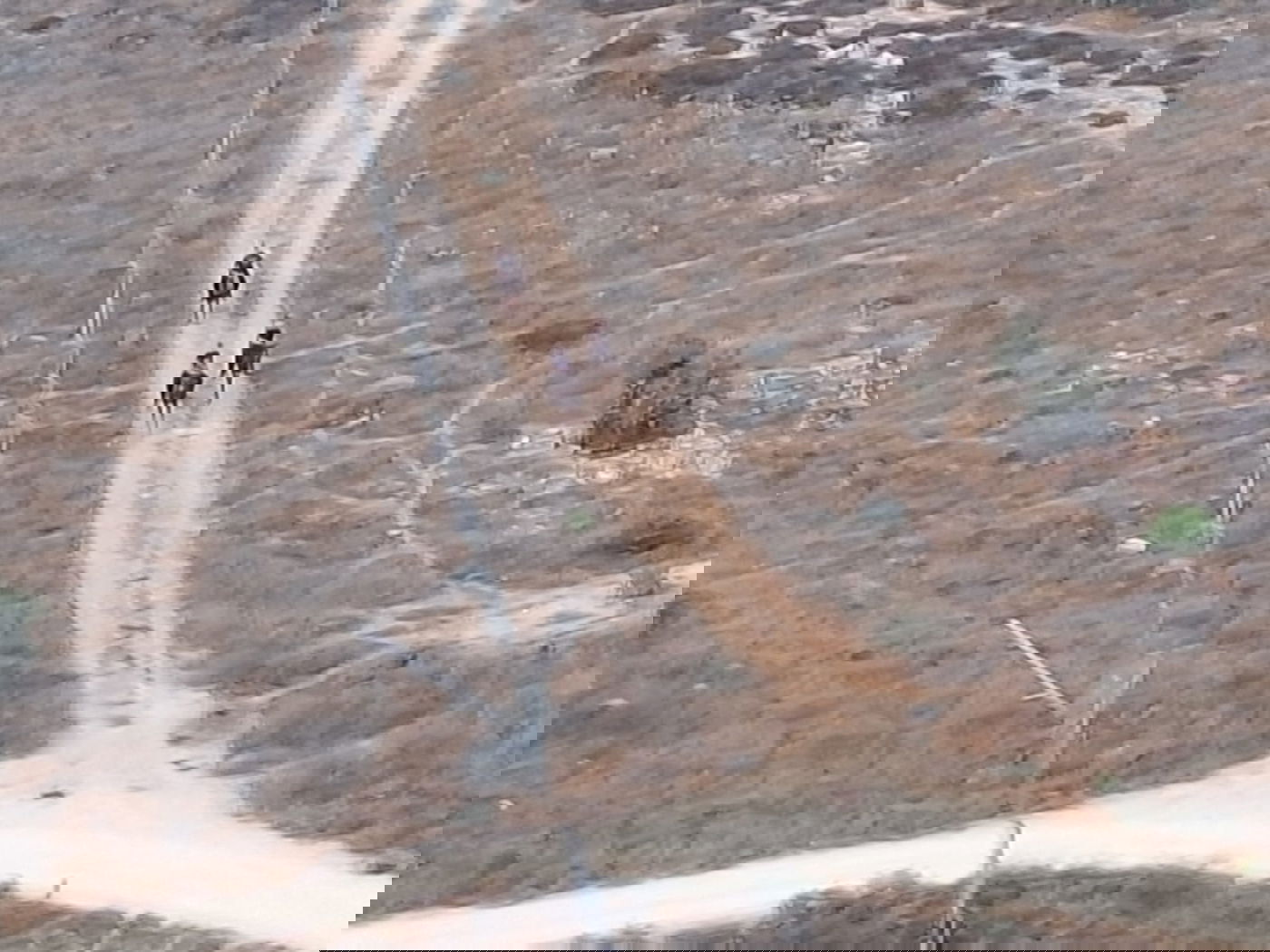 השבח"ים עושים את דרכם ללא הפרעה, לכיוון השכונה הירושלמית