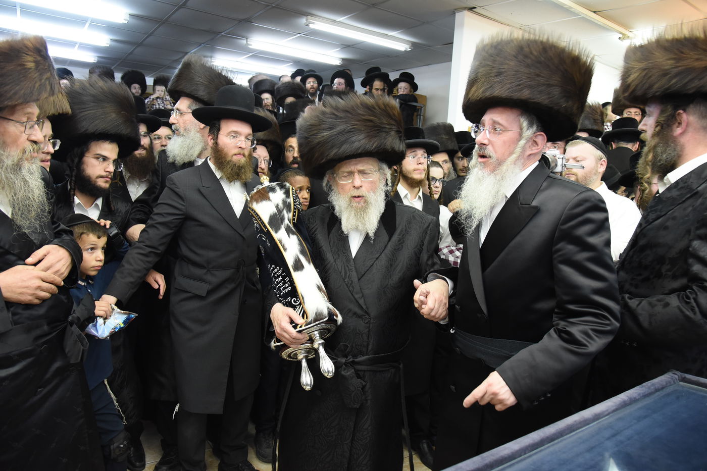 הכנסת ספר תורה לע"נ האברך הקדוש הרב אלתר שלמה לדרמן הי"ד