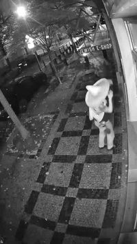 החשוד כפי שנקלט במצלמות האבטחה