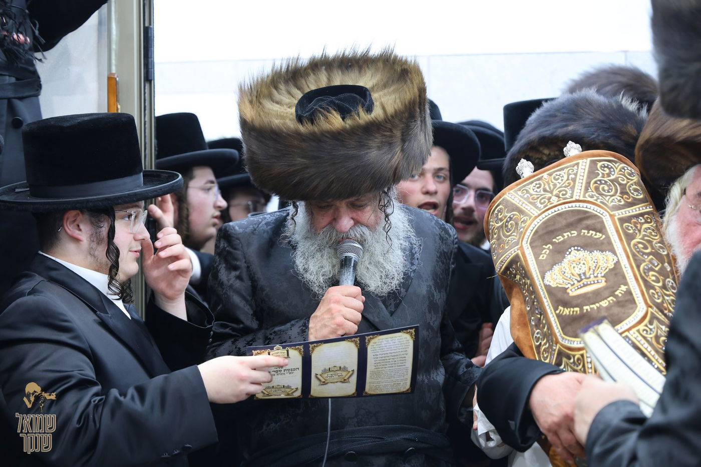 הכנסת ספר תורה לישיבה לצעירים דחסידי בעלזא חיפה