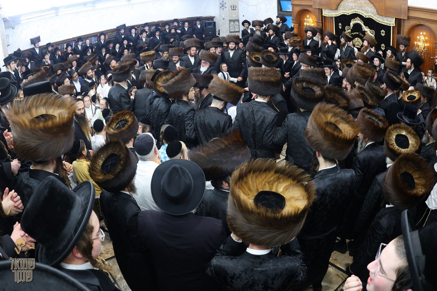 הכנסת ספר תורה לישיבה לצעירים דחסידי בעלזא חיפה