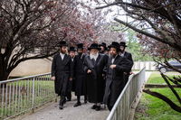 האדמו"ר מבאבוב ביום היא"צ של אמו הרבנית הצדקנית ע"ה