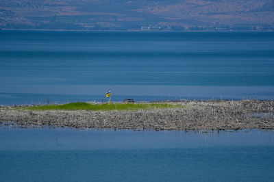 הכנרת, אתמול 