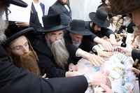 שמחת פדיון הבן בחצרות לעלוב ירושלים - גורליץ