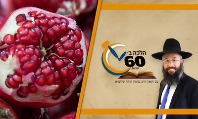 דיני ברכת 'שהחיינו' בקידוש בלילה השני של ראש השנה • צפו 