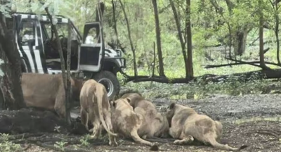 רגעי הטרגדיה