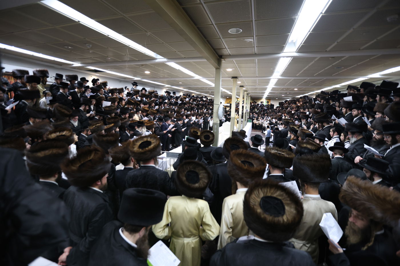 הרה"צ רבי אלימלך בידרמן שבת במירון