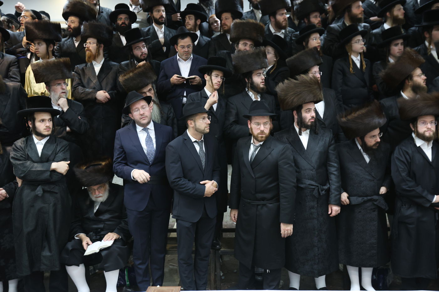 הרה"צ רבי אלימלך בידרמן שבת במירון