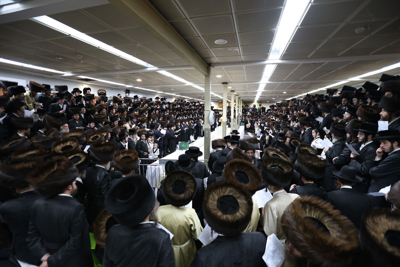 הרה"צ רבי אלימלך בידרמן שבת במירון