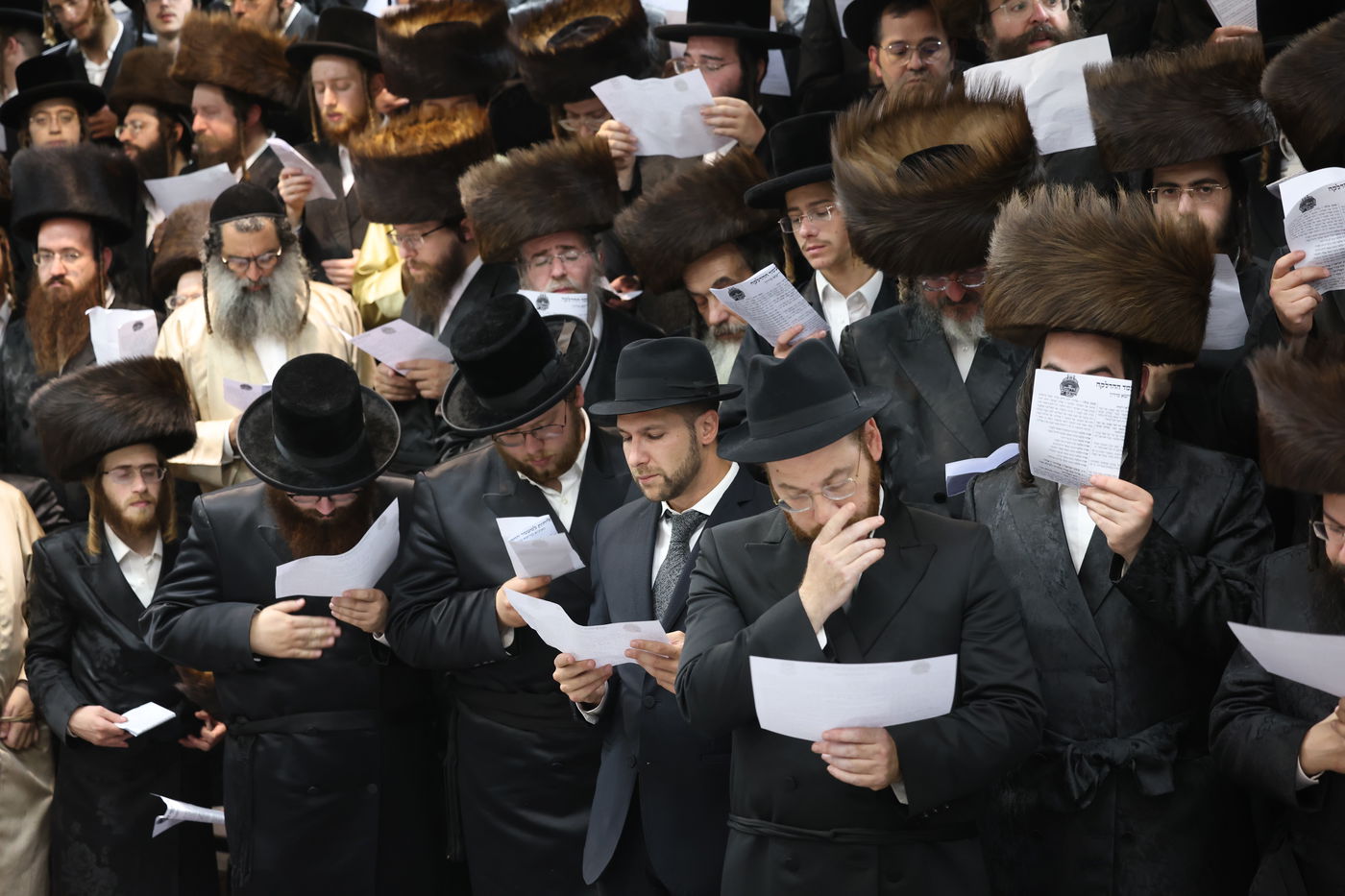 הרה"צ רבי אלימלך בידרמן שבת במירון