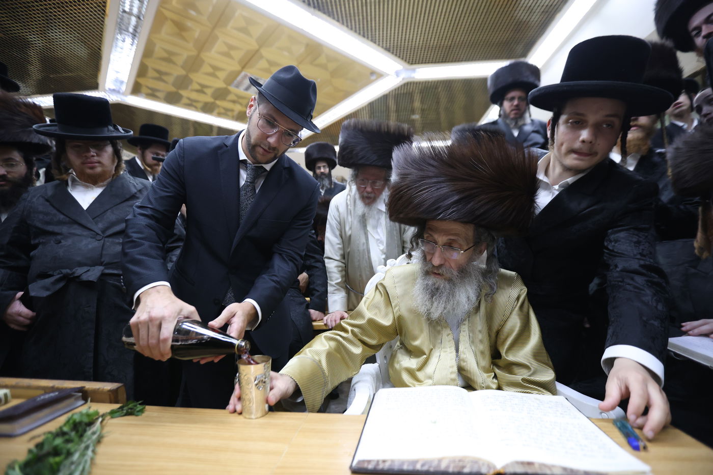 הרה"צ רבי אלימלך בידרמן שבת במירון